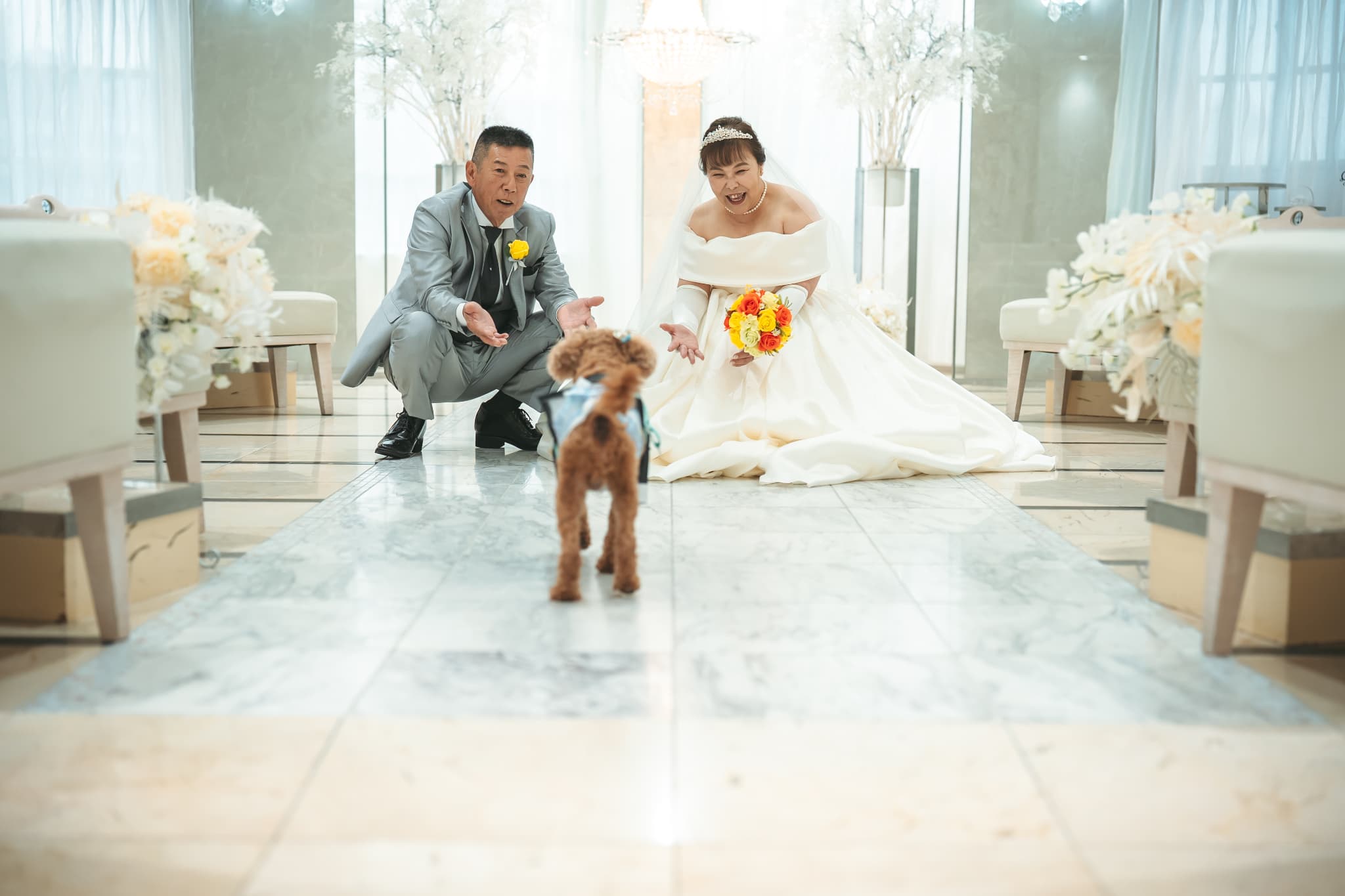 愛犬も大切なご家族。　一緒に迎える、かけがえのない結婚式